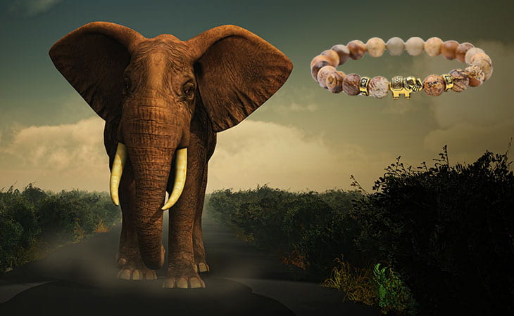 Phoenexia - Pulsera Elefante - ¡Rescata a los elefantes de la extinción!