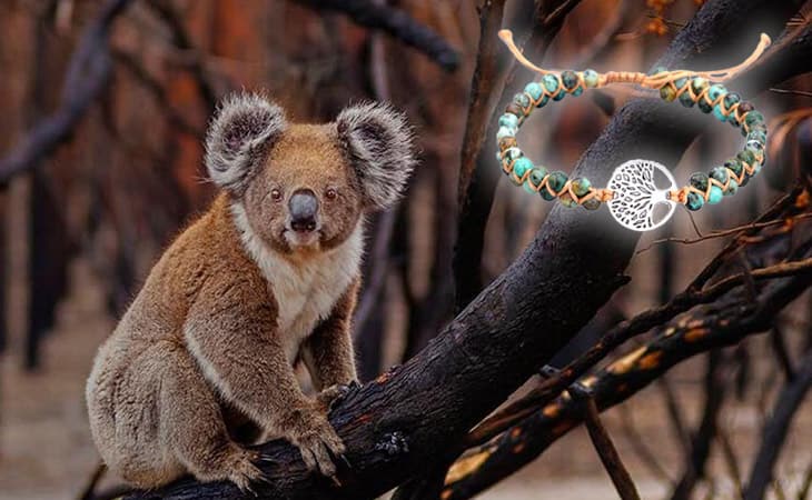 Phoenexia - Salva a los Koalas - Una pulsera. 3 Árboles.