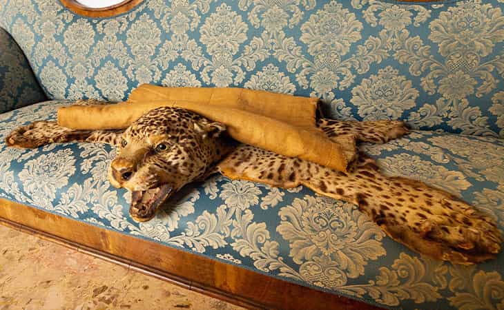 Phoenexia - Pulsera Leopardo - ¡Rescata a los leopardos de la extinción!