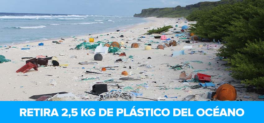 Phoenexia - Pendientes Ola De Mar – Retira 2.5 kg De Plástico